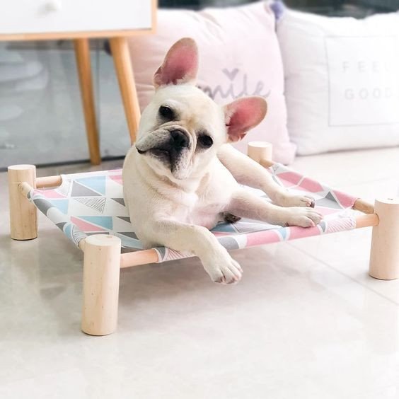 17018907771701890777f1200b58272d1ed50d757905d3694249 Cama para Gatos y Perros Confortable