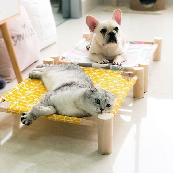 1701890778170189077856cea0f47495638b62e7d7f056fe092d Cama para Gatos y Perros Confortable