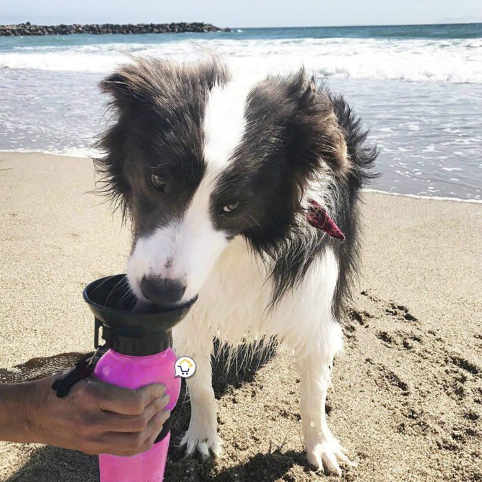 17030197211703019721Bebedero Agua Portátil Mascotas Dispensador Termo Perros RF 0015 8 Bebedero Agua Portátil para Mascotas