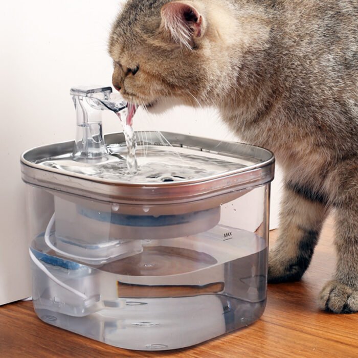 Fuente De Agua Para Mascotas