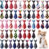 Collar Corbata Para Mascotas